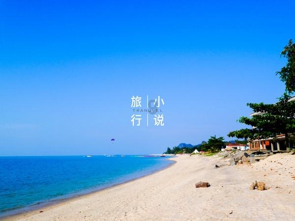 送彩票送汽车!“甲辰龙”系列生肖票济宁彩友“独享福利”来啦!